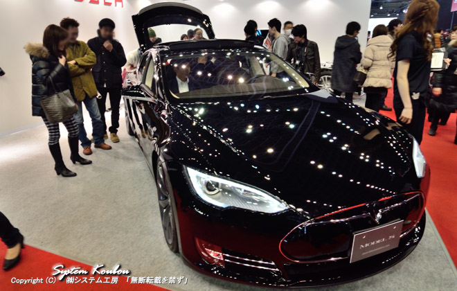 TESLA MODEL S@390km̍qidCԁj